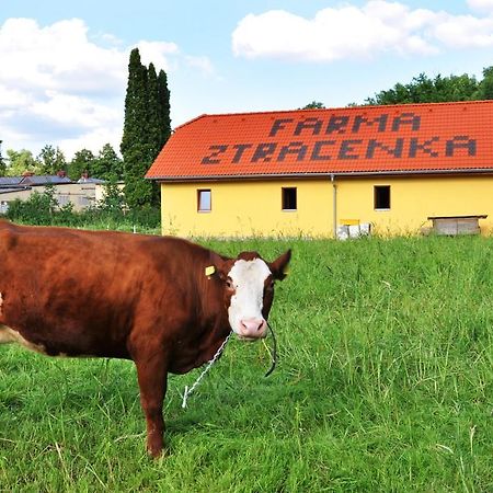 Farma Ztracenka Hotel Porici nad Sazavou Kültér fotó
