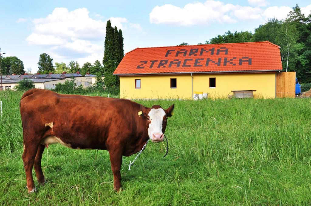 Farma Ztracenka Hotel Porici nad Sazavou Kültér fotó